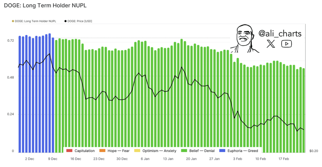 Gráfico comparativo entre detentores de longo prazo do DOGE e o preço da criptomoeda em dólares.